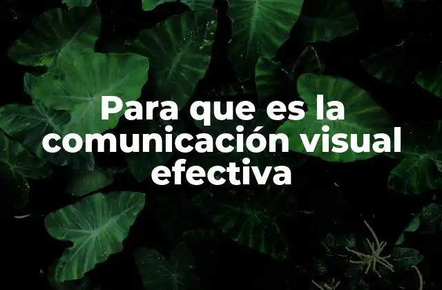 Para que es la Comunicación Visual Efectiva
