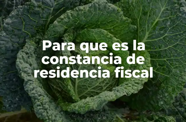Para que es la Constancia de Residencia Fiscal