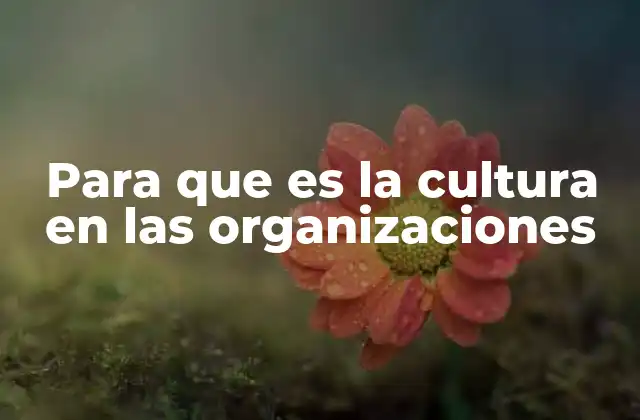 Para que es la Cultura en las Organizaciones