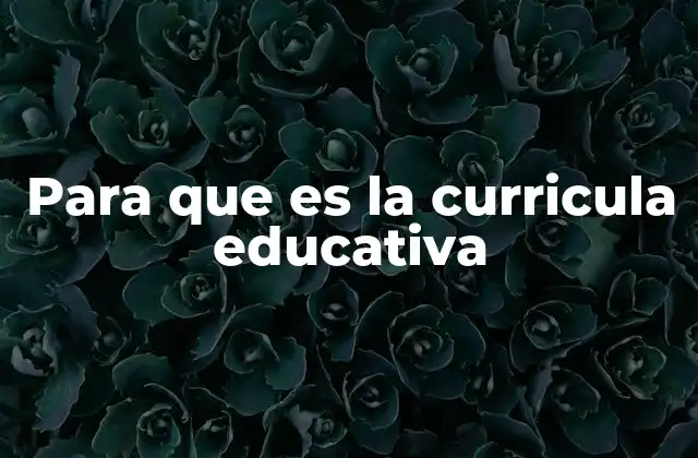 Para que es la Curricula Educativa