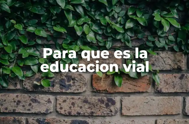 Para que es la Educacion Vial