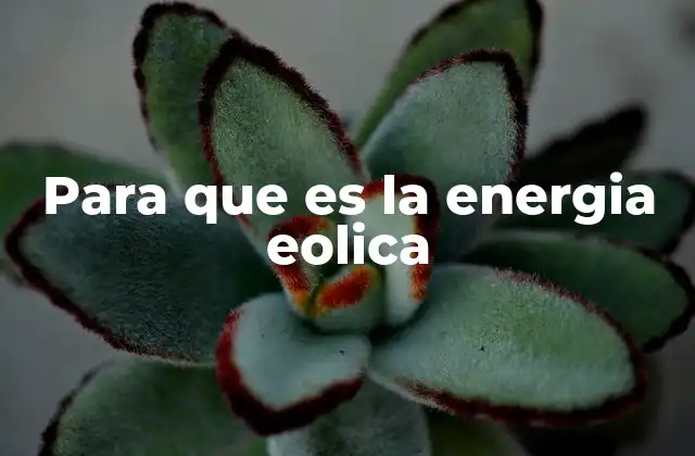 Para que es la Energia Eolica