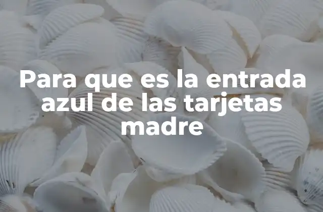 Para que es la Entrada Azul de las Tarjetas Madre