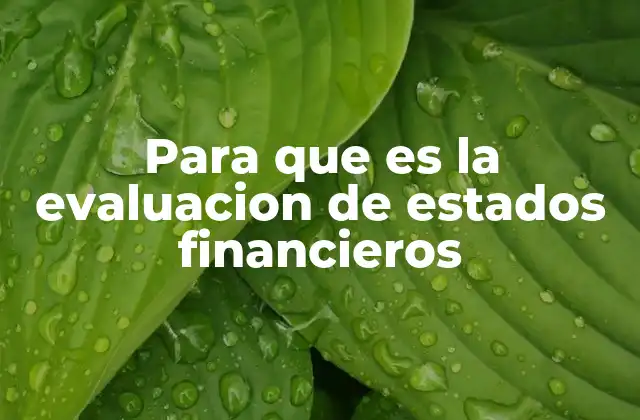 Para que es la Evaluacion de Estados Financieros