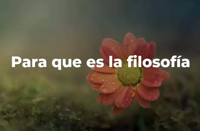 Para que es la Filosofía