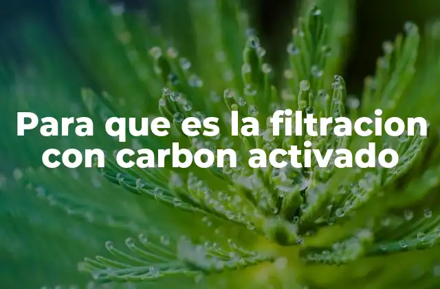 Características y funcionamiento del carbón activado en la filtración