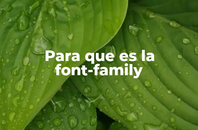 Para que es la Font-family