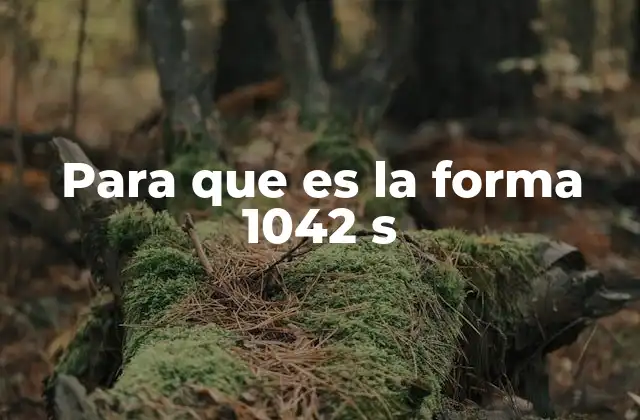 Para que es la Forma 1042 S