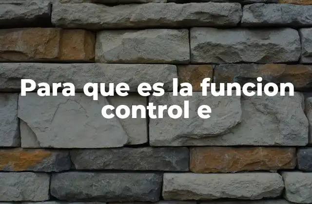 Para que es la Funcion Control e