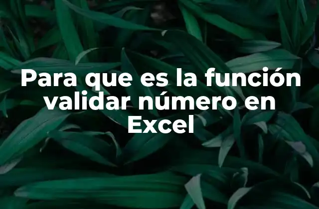 Para que es la Función Validar Número en Excel