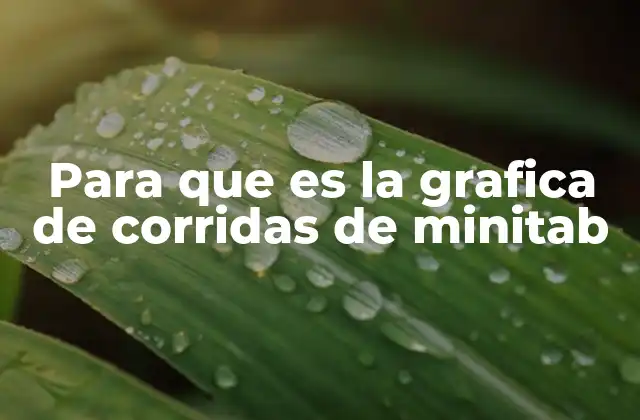 Para que es la Grafica de Corridas de Minitab