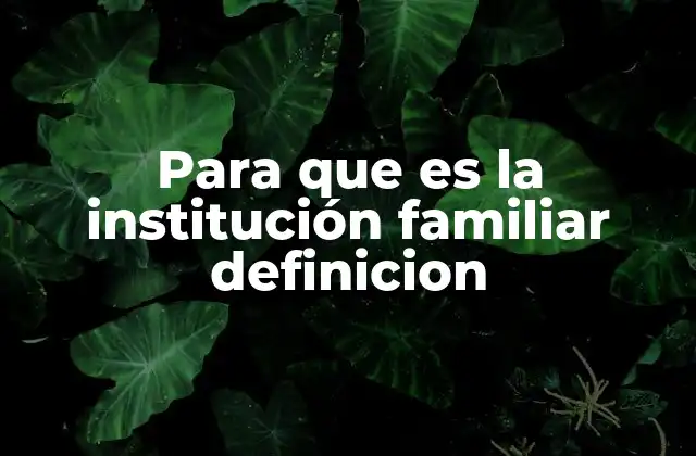 Para que es la Institución Familiar Definicion
