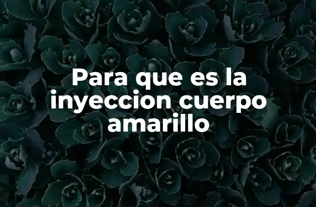 Para que es la Inyeccion Cuerpo Amarillo 2 El papel de la hormona luteinizante en el ciclo ovárico