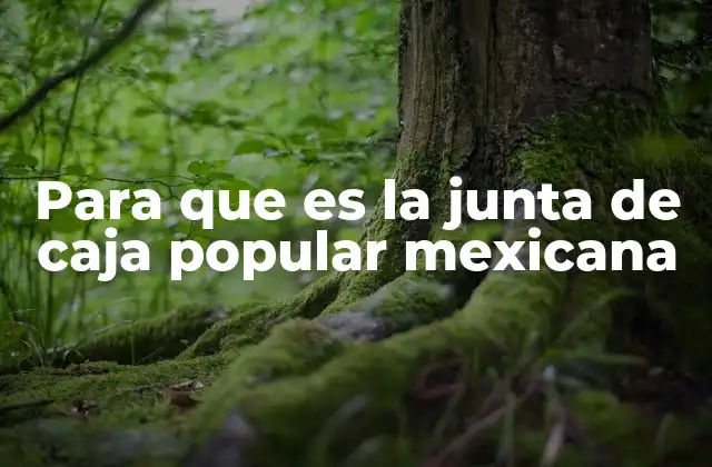 Para que es la Junta de Caja Popular Mexicana