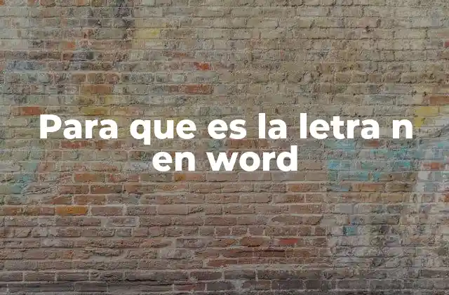 Para que es la Letra N en Word