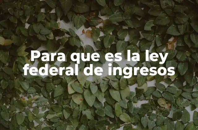 Para que es la Ley Federal de Ingresos
