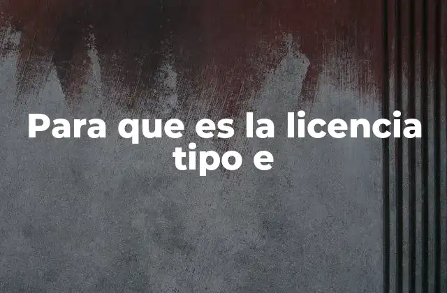 Para que es la Licencia Tipo e