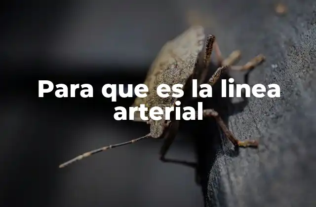 Para que es la Linea Arterial
