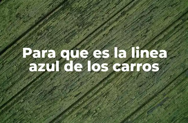 Para que es la Linea Azul de los Carros