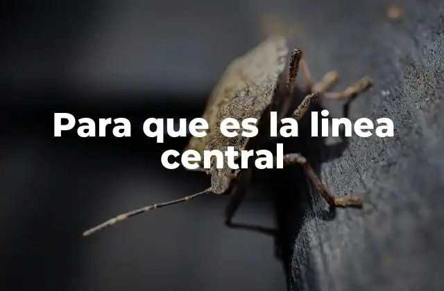 Para que es la Linea Central