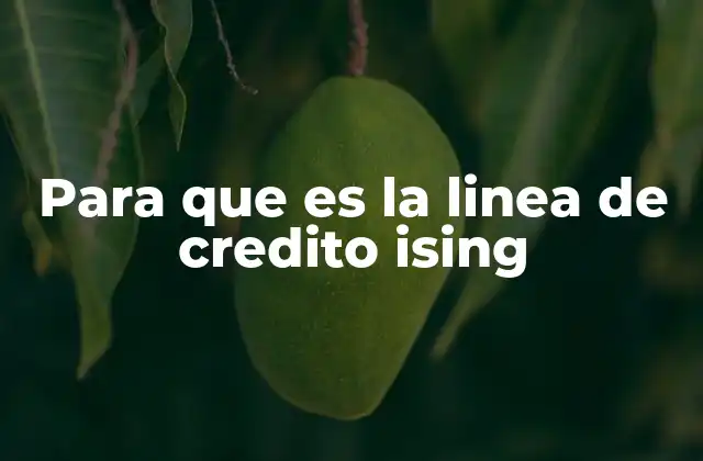 Para que es la Linea de Credito Ising