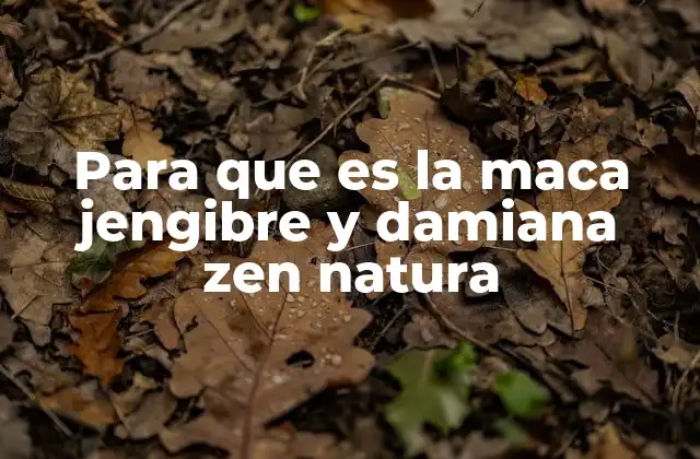 Para que es la Maca Jengibre y Damiana Zen Natura