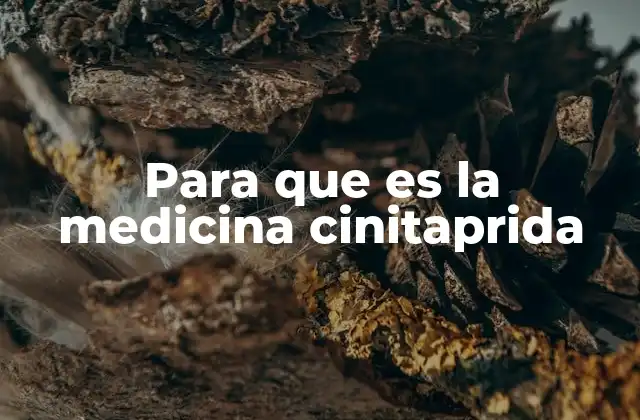 Para que es la Medicina Cinitaprida