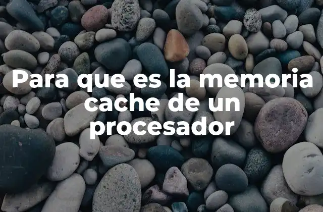 Para que es la Memoria Cache de un Procesador