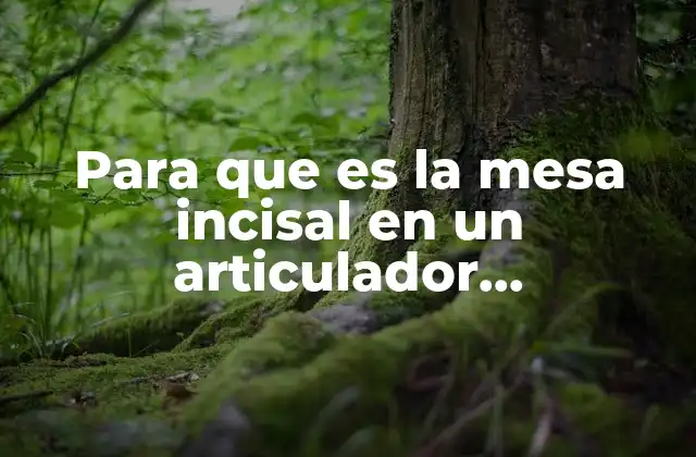 Para que es la Mesa Incisal en un Articulador Semiajustable