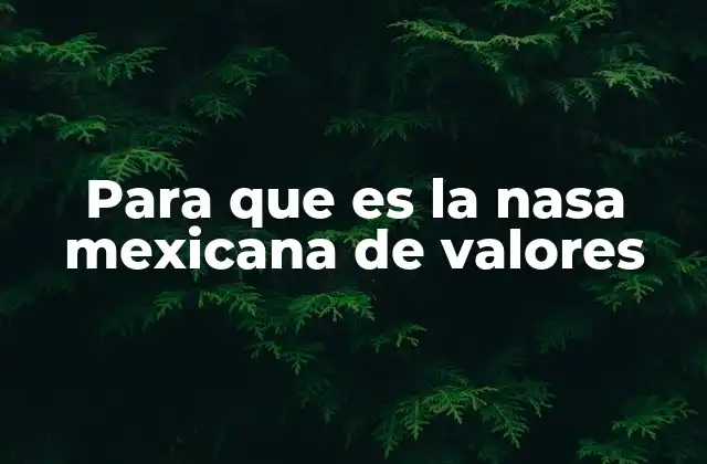 Para que es la Nasa Mexicana de Valores