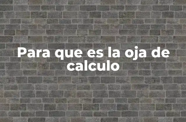 Para que es la Oja de Calculo