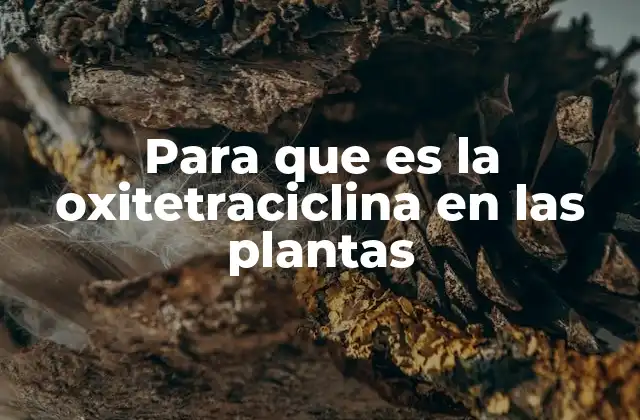 Para que es la Oxitetraciclina en las Plantas