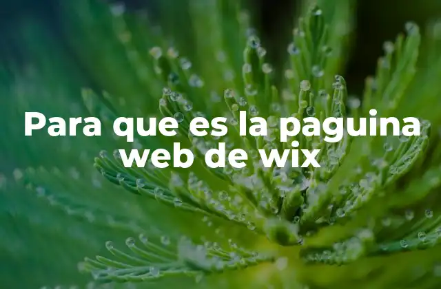 Para que es la Paguina Web de Wix
