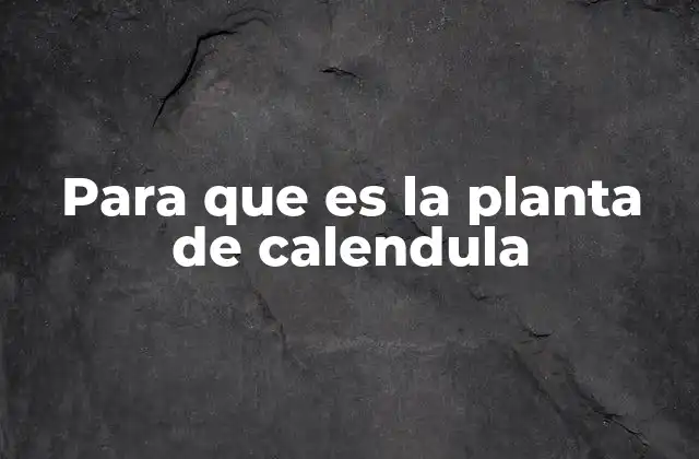 Para que es la Planta de Calendula