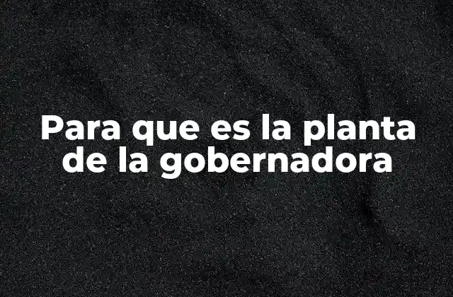 Para que es la Planta de la Gobernadora 2 La gobernadora como recurso natural en la medicina tradicional
