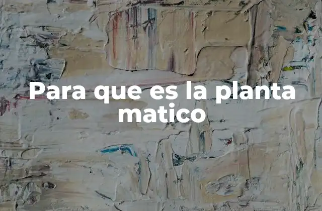 Para que es la Planta Matico