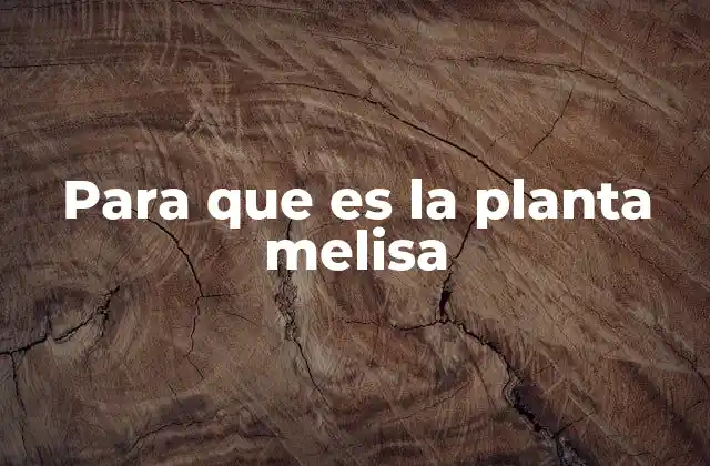 Para que es la Planta Melisa