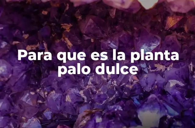 Para que es la Planta Palo Dulce