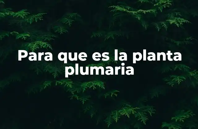 Características de la planta plumaria