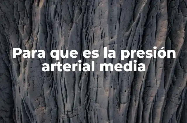 Para que es la Presión Arterial Media
