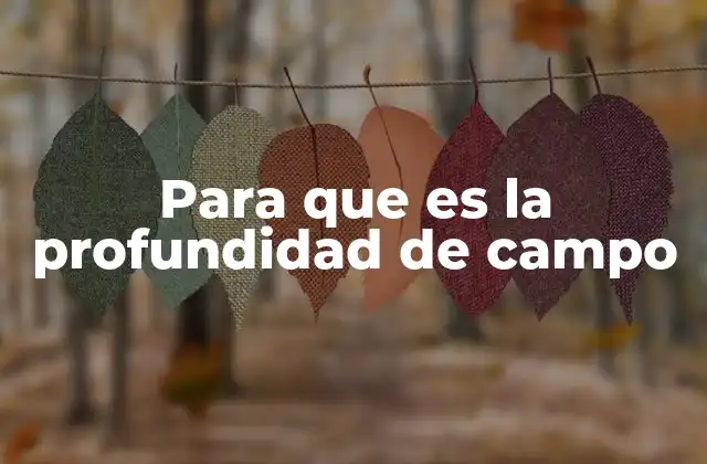 Para que es la Profundidad de Campo