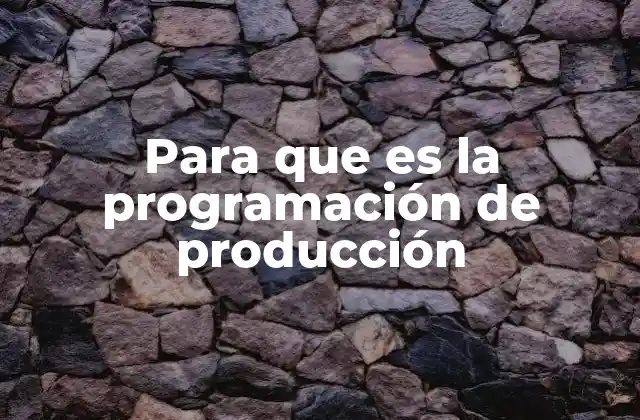 Para que es la Programación de Producción