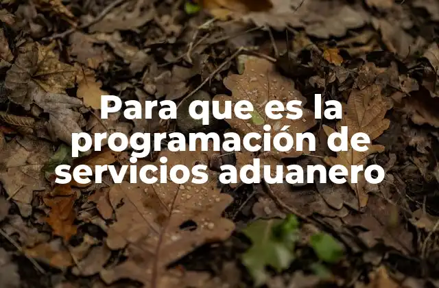 Para que es la Programación de Servicios Aduanero