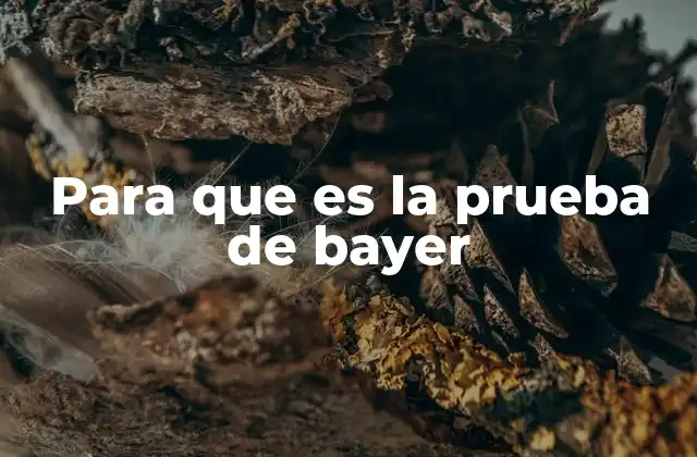 Para que es la Prueba de Bayer 2 ¿Cómo funciona la prueba de Bayer sin mencionar directamente el término?