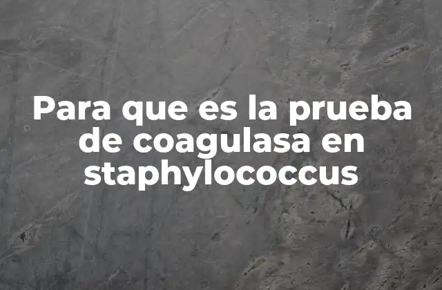 Para que es la Prueba de Coagulasa en Staphylococcus