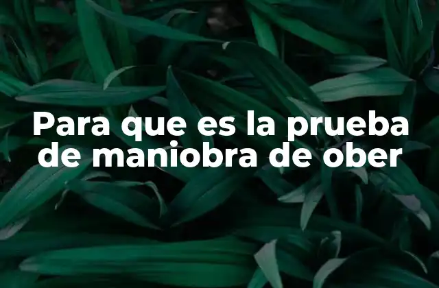 Para que es la Prueba de Maniobra de Ober