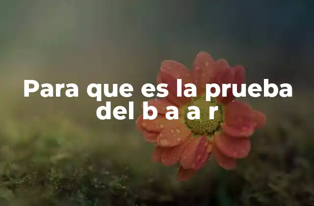 Para que es la Prueba Del B a a R
