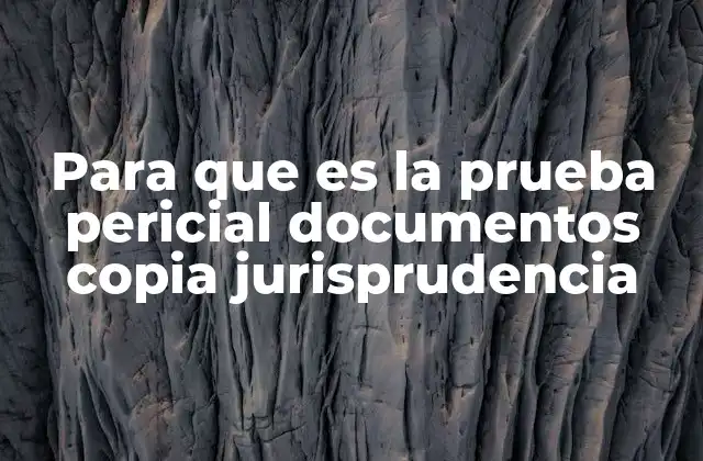 Para que es la Prueba Pericial Documentos Copia Jurisprudencia 2 El rol de la pericia en la validación de copias documentales