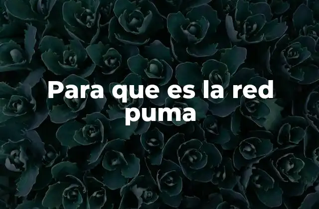 Para que es la Red Puma