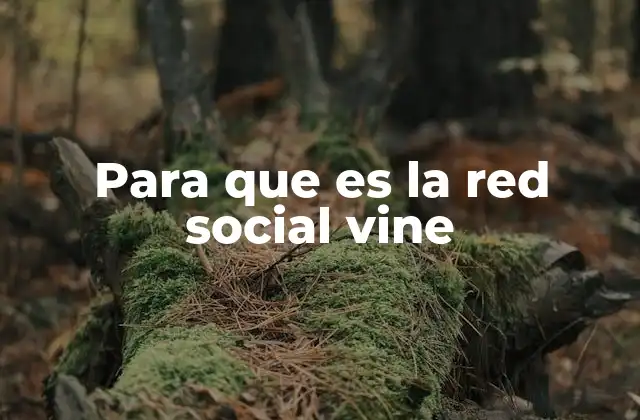La influencia de Vine en la cultura digital